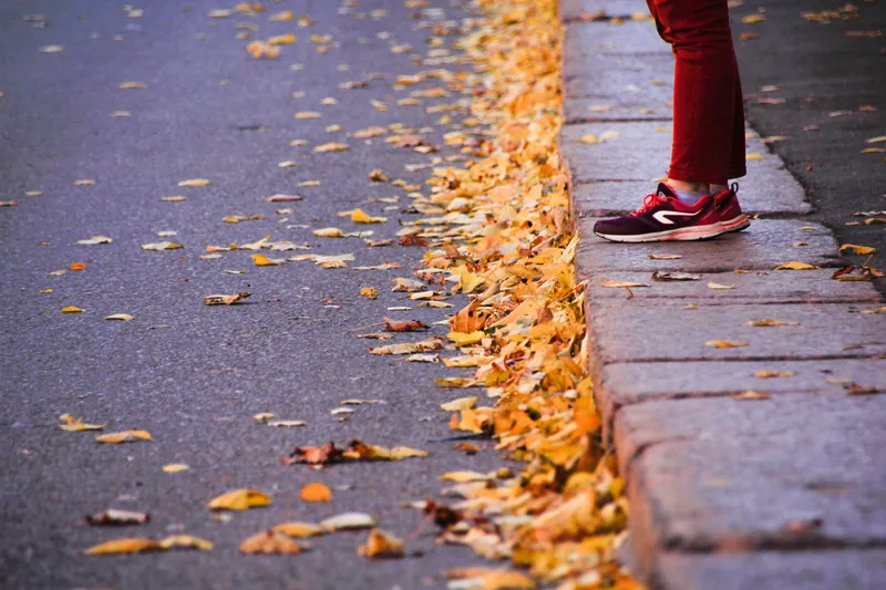 A roof gutter filled with fallen autumn leaves
